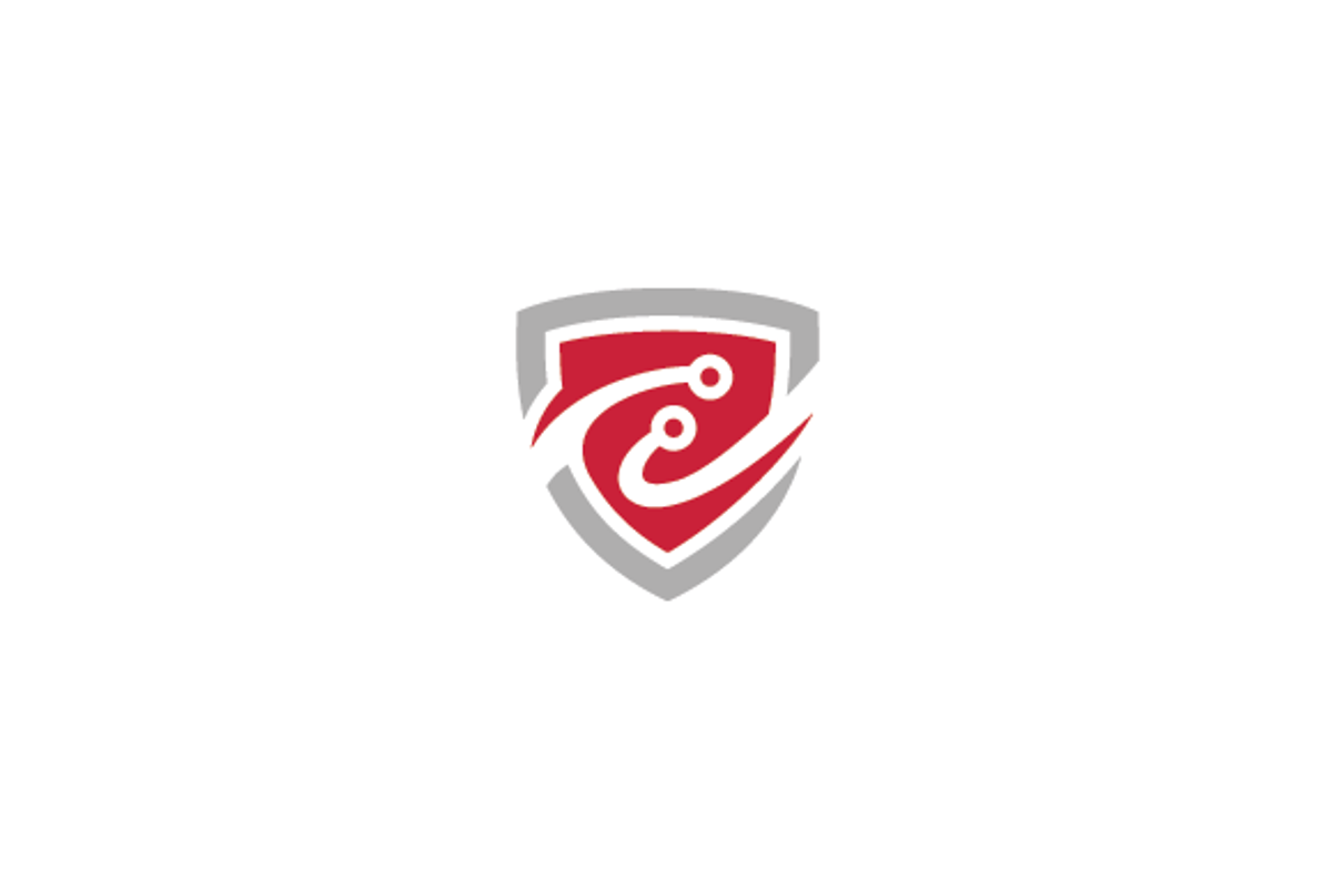 Security Network Logo, a Branding & Logo Template by nospacestore
