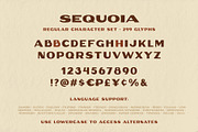 Sequoia Display, a Font by Rachel Kick (Thumbnail 5 of 5)