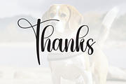 Beagle | Script Font, a Handwritten Font by Scratchones (Thumbnail 9 of 9)