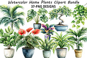 Watercolor Home Plants Clipart, an Illustration by Daily.Designs (Thumbnail 1 of 8)