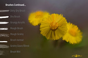 15 Photo Painting Brushes preview 3