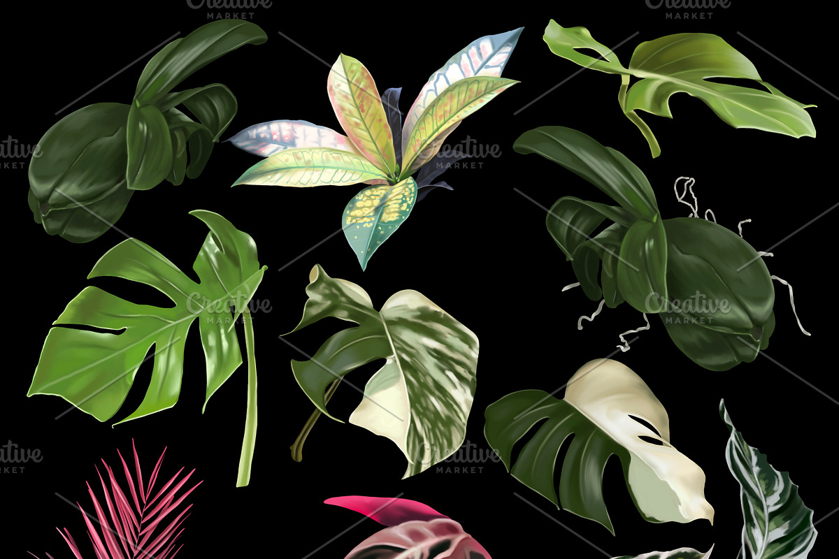 Tropical life. 100+ Parrot & flower, an Illustration by NNclipart (Photo 8 of 14)