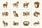 Vintage Farm Animals Illustration, an Animal Illustration by Prosymbols (Thumbnail 7 of 8)