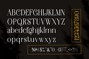 Braxttile Elegant Serif Font, a Script Font by Graphicxell (Thumbnail 7 of 9)