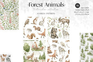 Forest Animals. Watercolor Wildlife