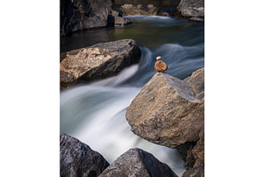 Pebbles balanced on rocks in raging, a Nature Photo by Backyard Stock