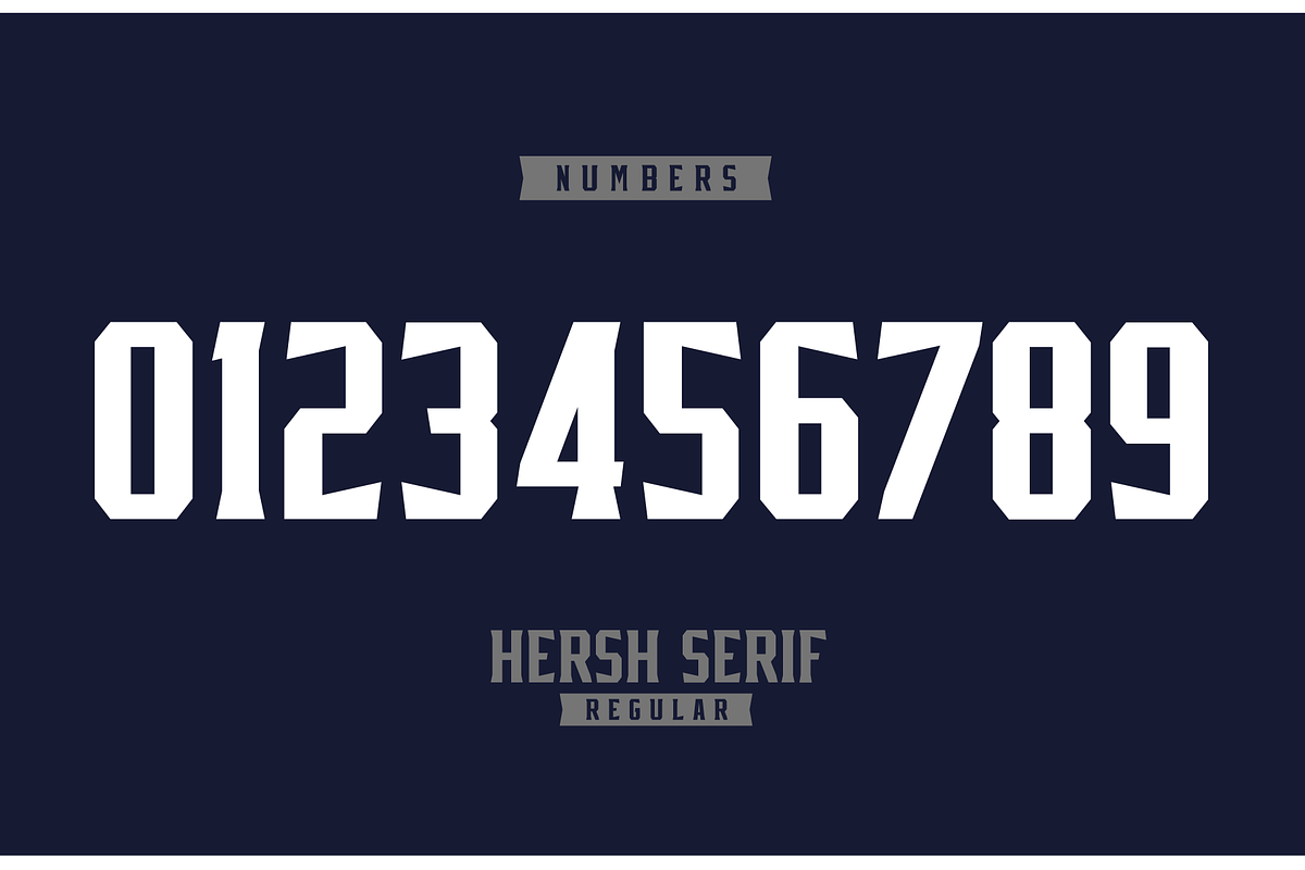 HERSH SERIF FONT FAMILY, a Serif Font by Alphabet Agency (Photo 4 of 14)