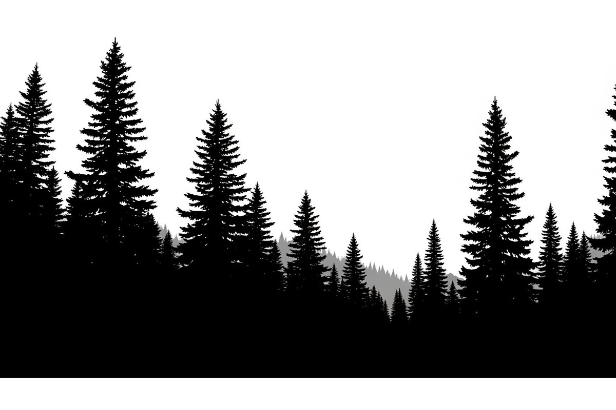 Woodland & Forest Tree Silhouettes B, an Illustration by jahid234 (Photo 26 of 41)