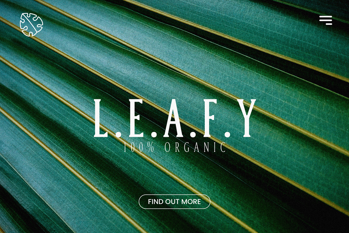 Margrite - Tall Serif Font Family, a Font by AndrewPixelType (Photo 3 of 9)