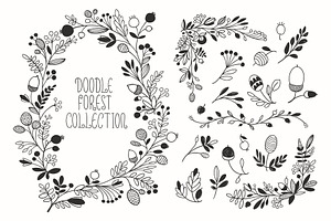 Autumn Floral Vector Drawings