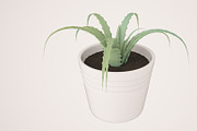 Plant n°1, an Object 3D Model by 3D Furnishing (Thumbnail 5 of 20)
