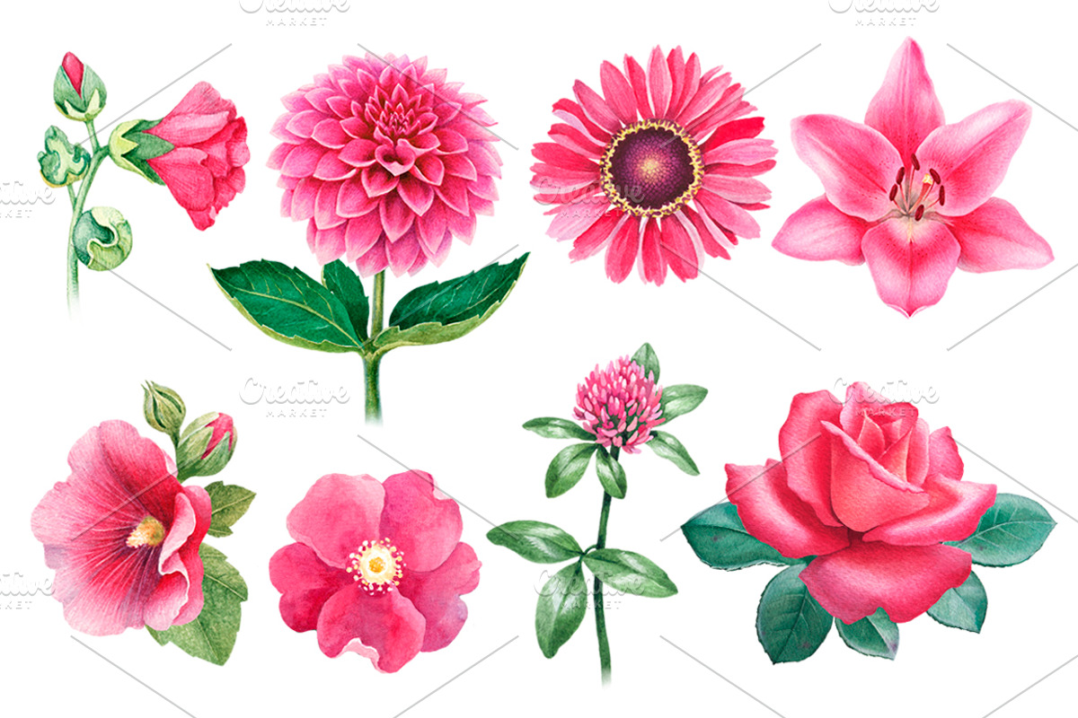 Watercolor pink flowers, a Pattern Graphic by Sundra (Photo 4 of 6)