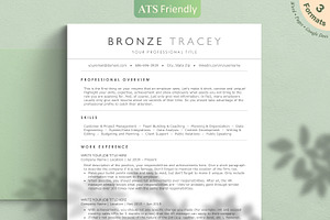 Clean ATS Resume/CV - The Bronze