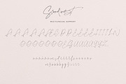Scandinest - Signature With Ligature, a Script Font by Dirtytemp Studio (Thumbnail 15 of 16)