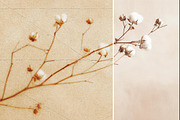 Blurred Folded Paper Photo Effect, a Layer Style Add-On by Design Squad (Thumbnail 7 of 8)