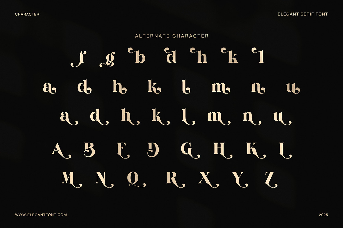 Chatoya Elegant Serif Display Font, a Serif Font by Elegant Font (Photo 8 of 8)