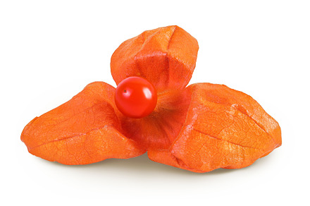 Cape gooseberry, physalis isolated, a Food & Drink Photo by NataPhoto