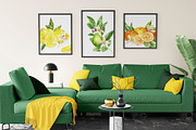 Citrusy Fruits watercolor collection, a Decorative Illustration by Volha Studio (Thumbnail 4 of 10)