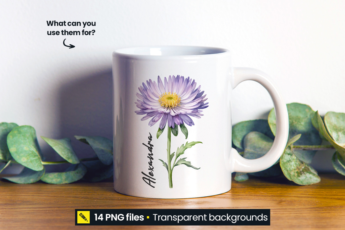 Birth Month Flowers Clipart PNG, a Graphic by DesignWP (Photo 8 of 8)
