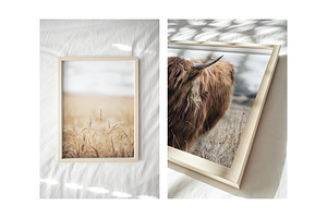 Frame Mockup Bundle - Rosea