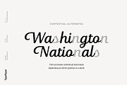 TT Polls, a Slab Serif Font by TypeType (Thumbnail 12 of 18)