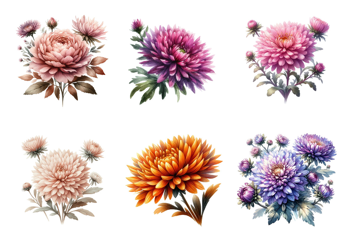 Aster Flower Watercolor Clipart, an Illustration by SinaCreation (Photo 2 of 5)
