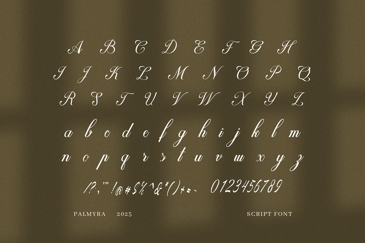 Palmyra Script Font, a Script Font by Graphicxell (Photo 8 of 8)