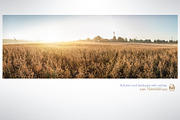 Autumn rural landscape, a Food Illustration by Countryside life (Thumbnail 7 of 9)