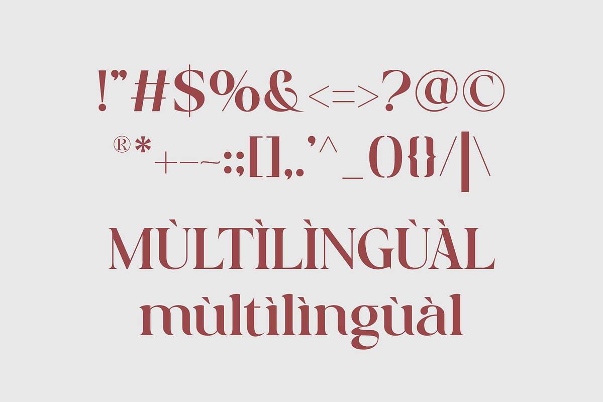 Bareya Modern Serif, a Serif Font by Muflieart (Photo 9 of 9)