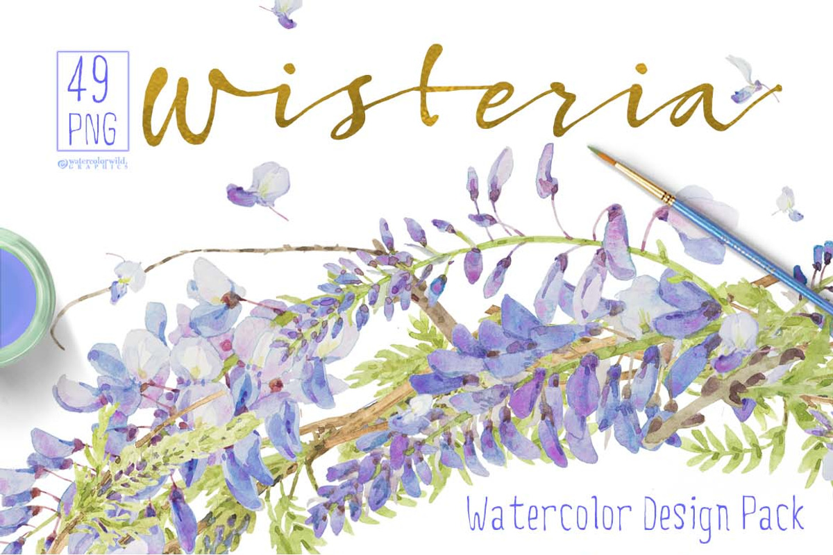 Wisteria - Design Pack, an Illustration by watercolorwild.graphics (Photo 1 of 7)