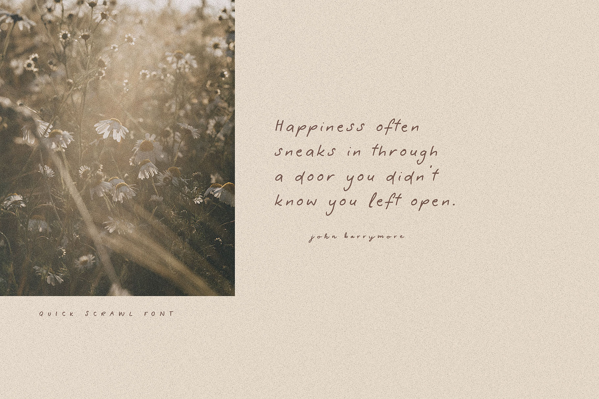 Quick Scrawl Script Font preview 6