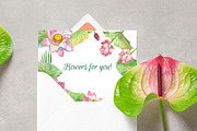 Lotus Flowers. Bouquets and Wreaths, a Decorative Illustration by Nataliapiache (Thumbnail 5 of 5)