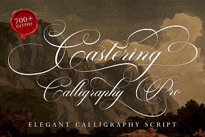 Castering Calligraphy Pro, a Script Font by Romiecreative
