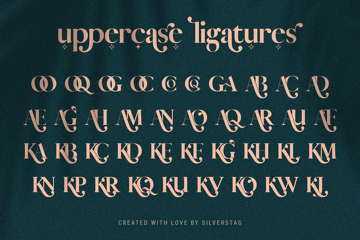 Vicky Christina Ligature Serif Font, a Serif Font by SilverStag Type Foundry (Photo 20 of 25)