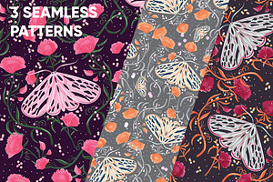 Moths 2, Graphics & Seamless Pattern