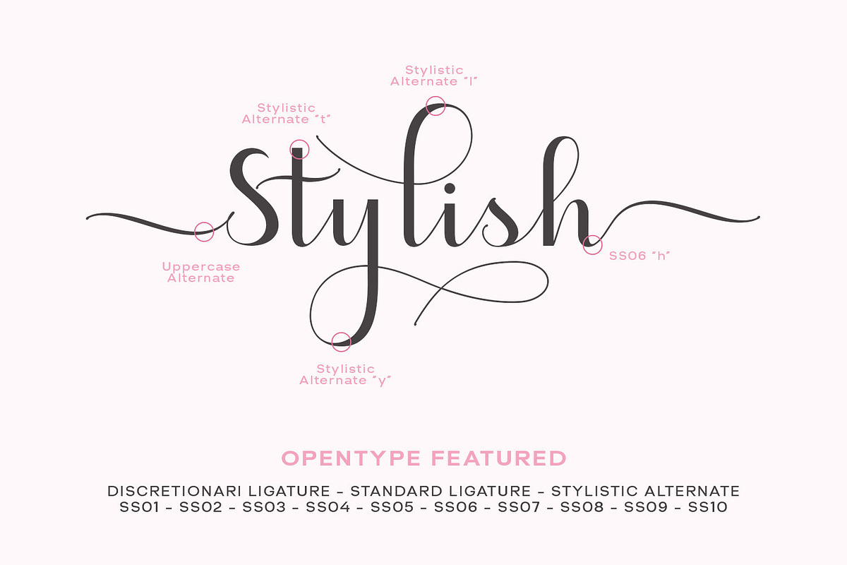Heydan Script - a stylish fonts, a Script Font by Siwox Studios (Photo 7 of 8)