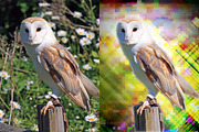 Digix Photoshop Action preview 3