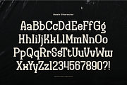 Original Regional | Display Font, a Slab Serif Font by Denustudios (Thumbnail 10 of 12)
