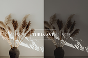 Dim Aesthetic Lightroom Presets, a Preset Add-On by Turia Avenue (Thumbnail 7 of 9)