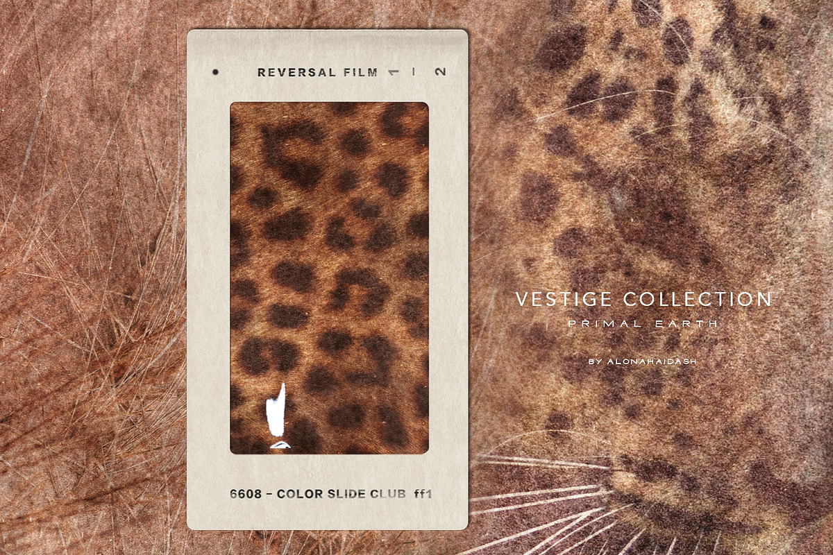 Vestige · Primal Earth Backgrounds, a Background Graphic by alonahaidash (Photo 5 of 16)