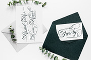 Bolivia Script, a Script Font by Madjack.font (Thumbnail 8 of 9)