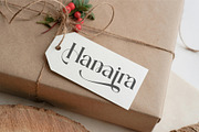 Ranima - Modern Ligature Typface, a Serif Font by AnnofaType (Thumbnail 2 of 8)