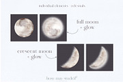 Forest Illustrations Mystic Autumn, an Animal Illustration by Busy May Studio (Thumbnail 14 of 20)