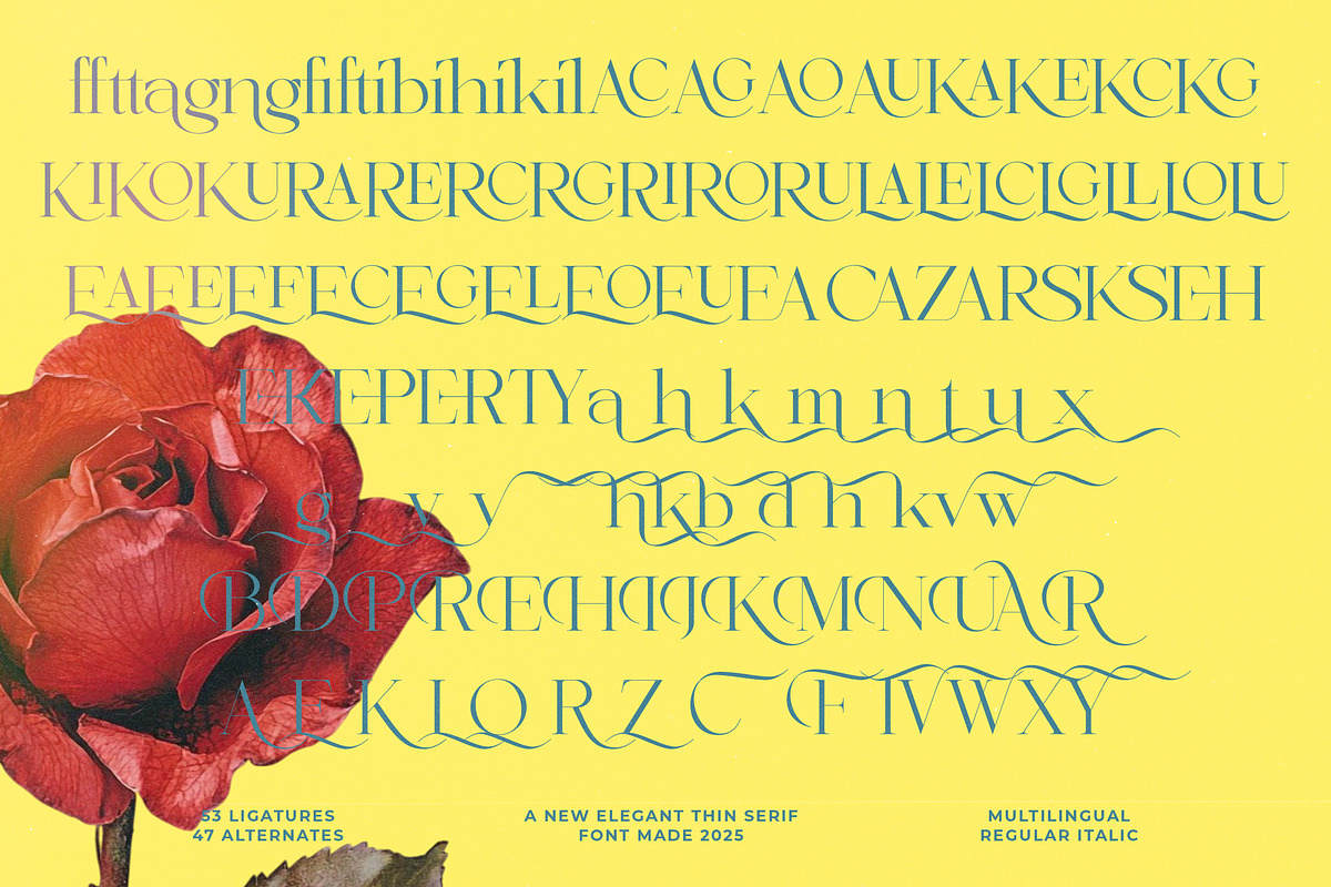 Briglo Shade Elegant Thin Serif, a Serif Font by timelesstype.co (Photo 14 of 15)