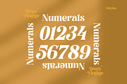 Brasty Vintage - Retro Serif Font, a Serif Font by Holyline Design (Thumbnail 12 of 16)
