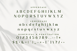 Troupe Premium Serif Font