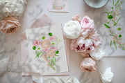 Delicate Dreams. Watercolor Wedding, a Decorative Illustration by Olya Haifisch (Thumbnail 2 of 16)