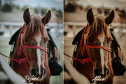 10 Western Cowgirl Lightroom Presets, a Preset Add-On by MEPRESETS (Thumbnail 4 of 8)