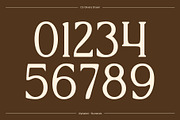CS Olivera Drawn, a Serif Font by Craft Supply Co. (Thumbnail 5 of 8)