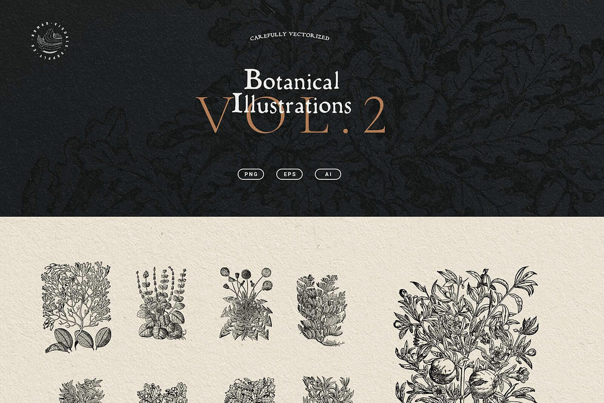 Vintage Bundle - 6600+ Illustrations, an Animal Illustration by Nomad Visuals (Photo 37 of 45)